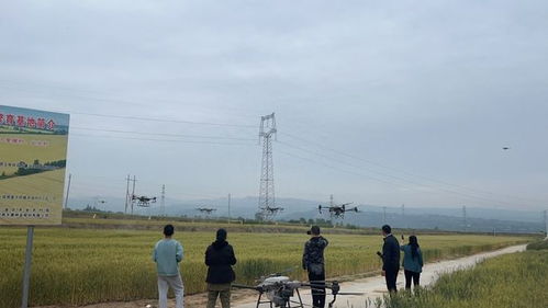 高質高效農產品綠色集成技術 驅動銅川市特色現代農業(yè)高質量發(fā)展的核心引擎