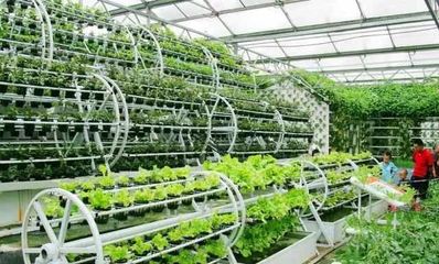 打造休閑農業項目的10大經驗總結，讓農莊越來越火！