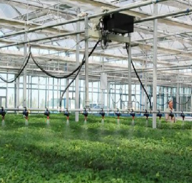 數字智慧技術扎根小山村 為農業技術開發注入新動能