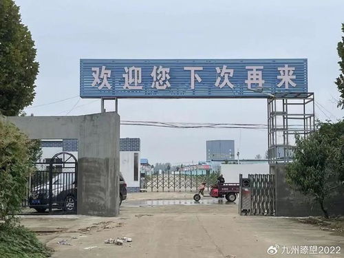 實探許家印家鄉 村民自發守護功德碑，鄉村振興中的農業技術希望